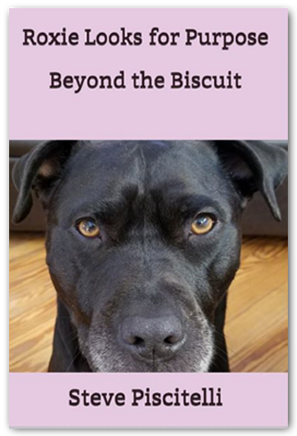 dog named biscuit book